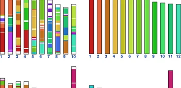 dna_compare