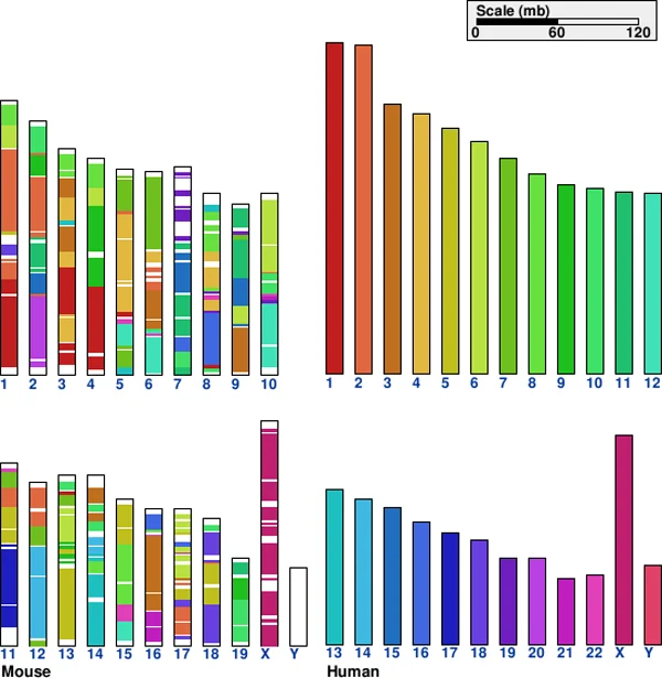 dna_compare